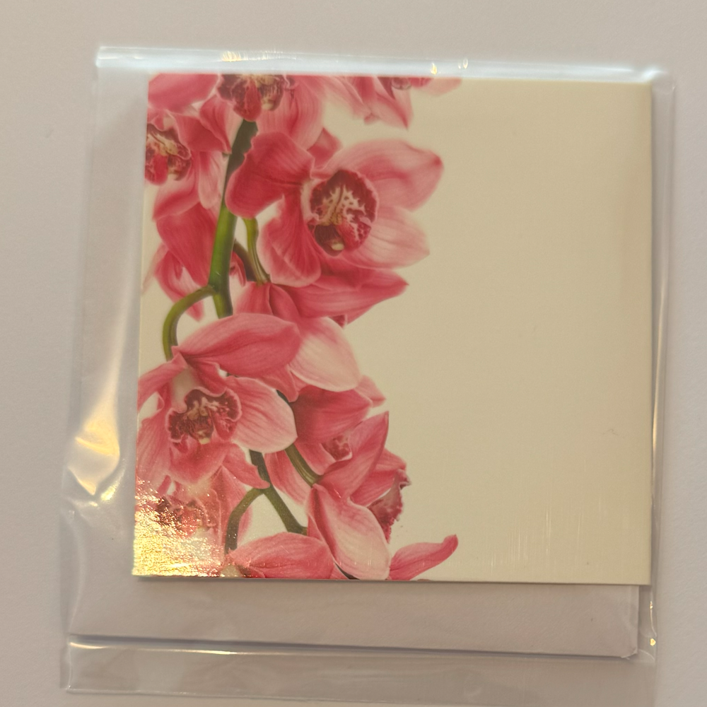 Small Square Cards
