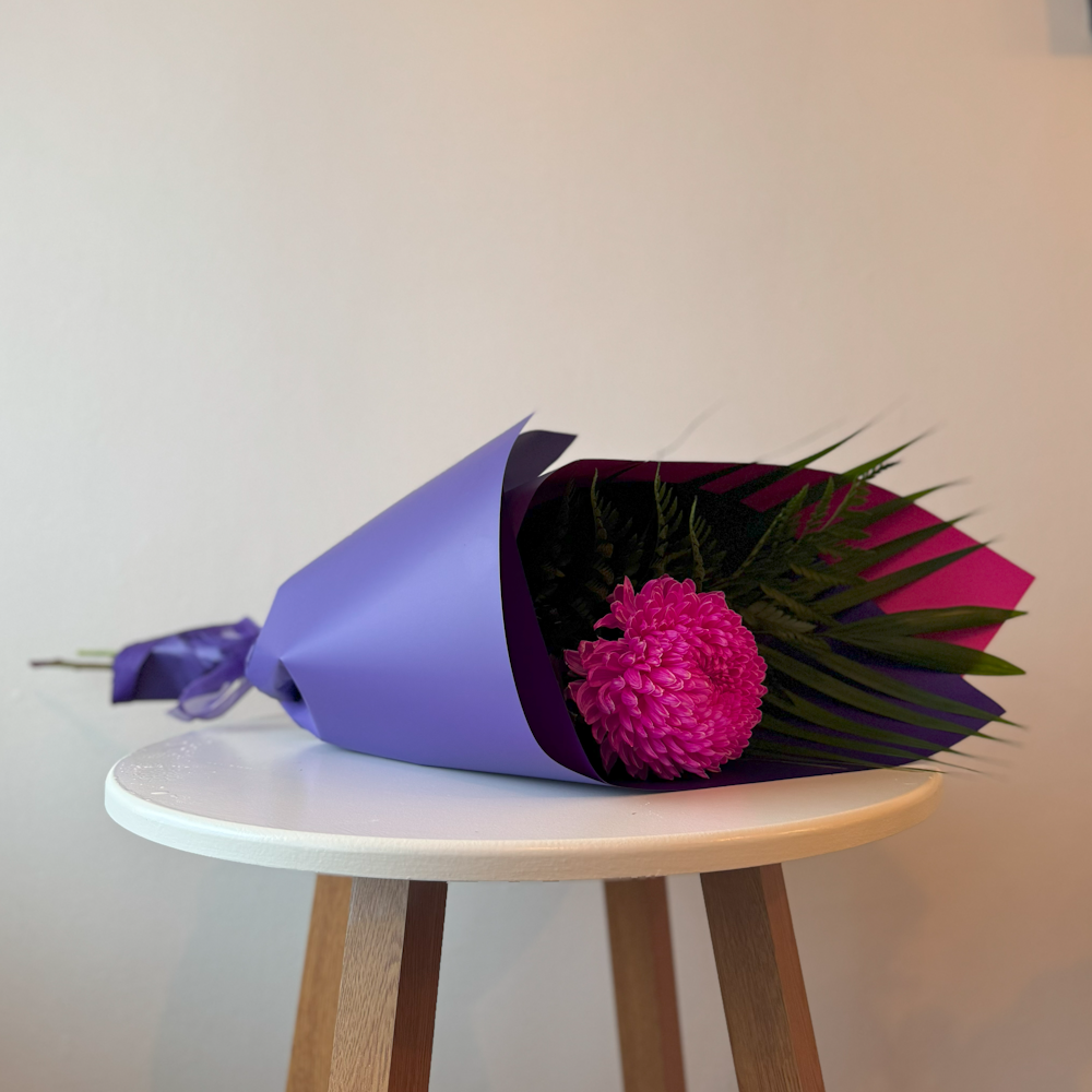 Singular Wrapped Chrysanthemum