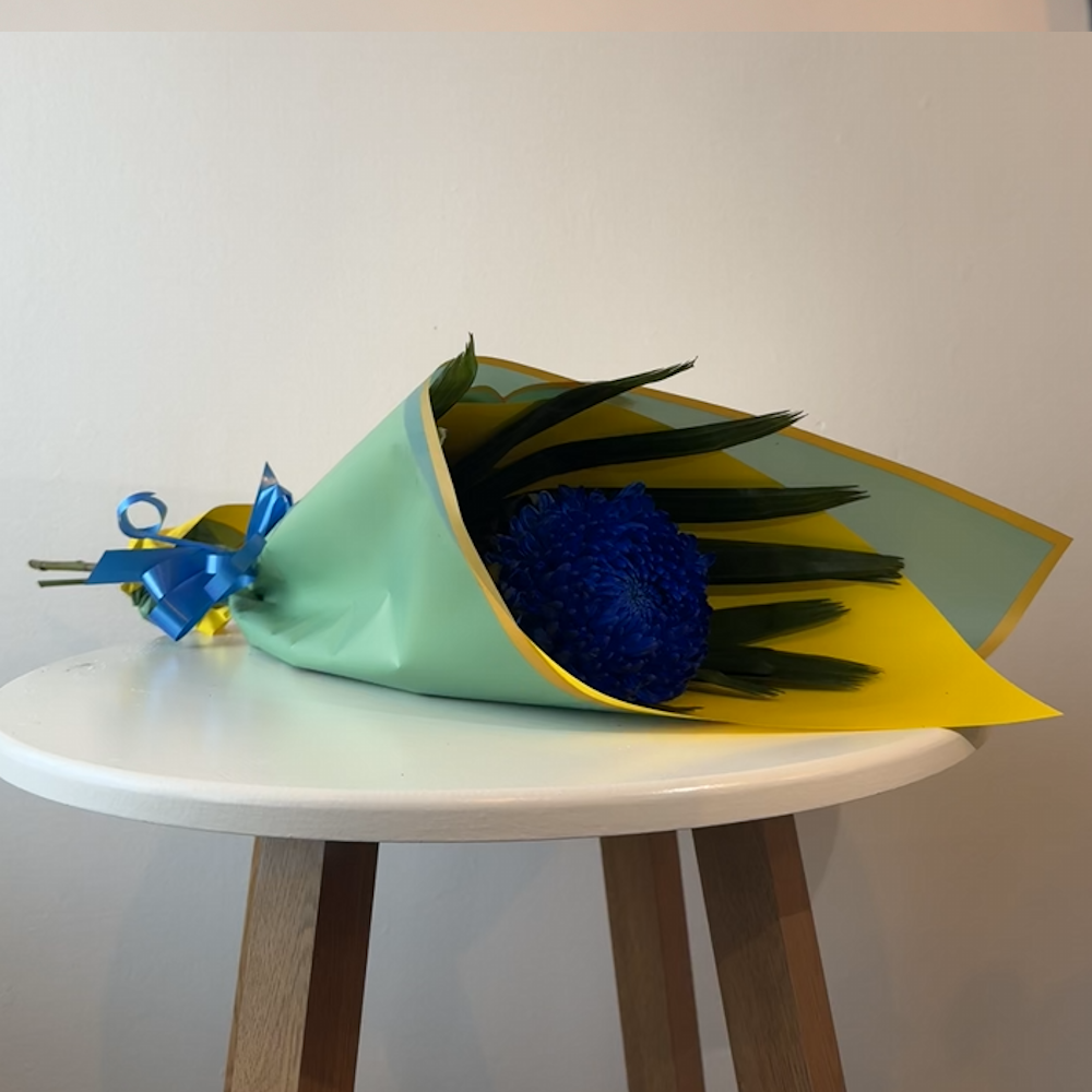 Singular Wrapped Chrysanthemum