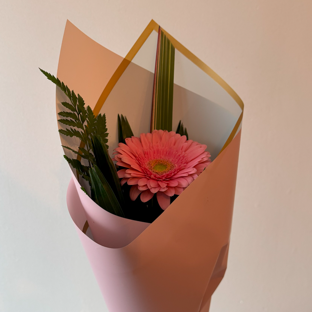 Singular Wrapped Gerbera